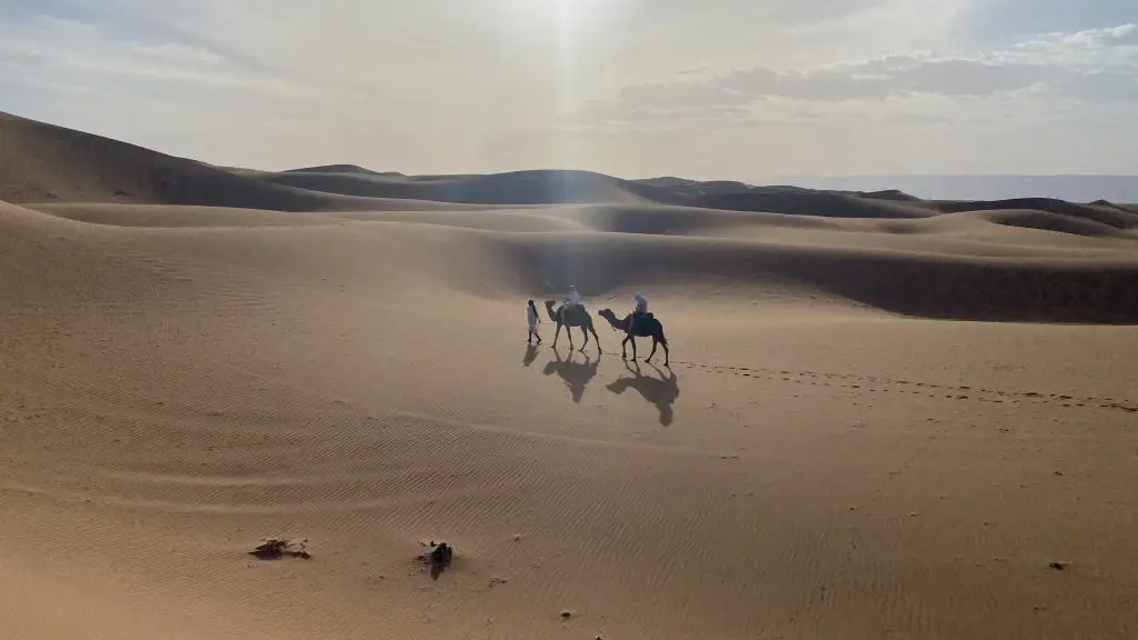 A camel train crossing the Erg Chigaga dunes, seen from a distance during camel trekking