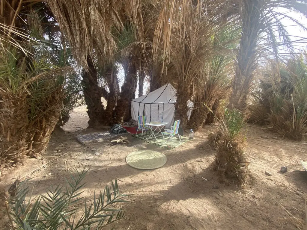 Palm trees and a shaded white tent at an oasis in the desert
