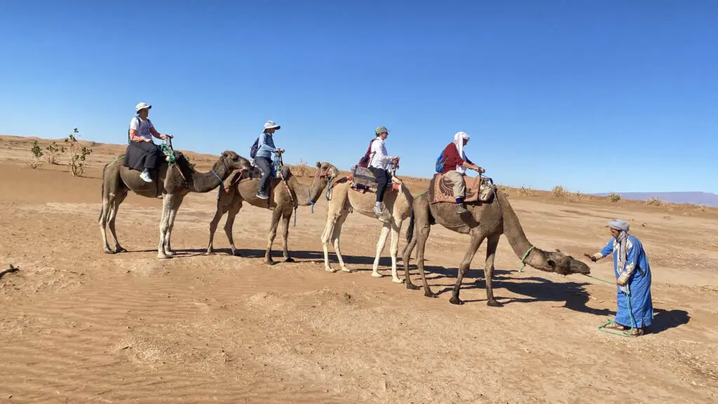 Riders on camels crossing open desert during camel trekking, with a guide on foot